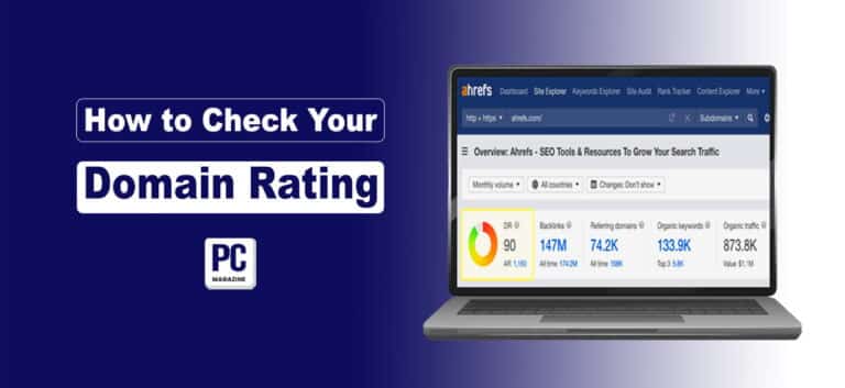 How to Check Your Domain Rating in 2024